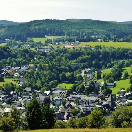Ons Huisje 8 Willingen  Buitenkant foto
