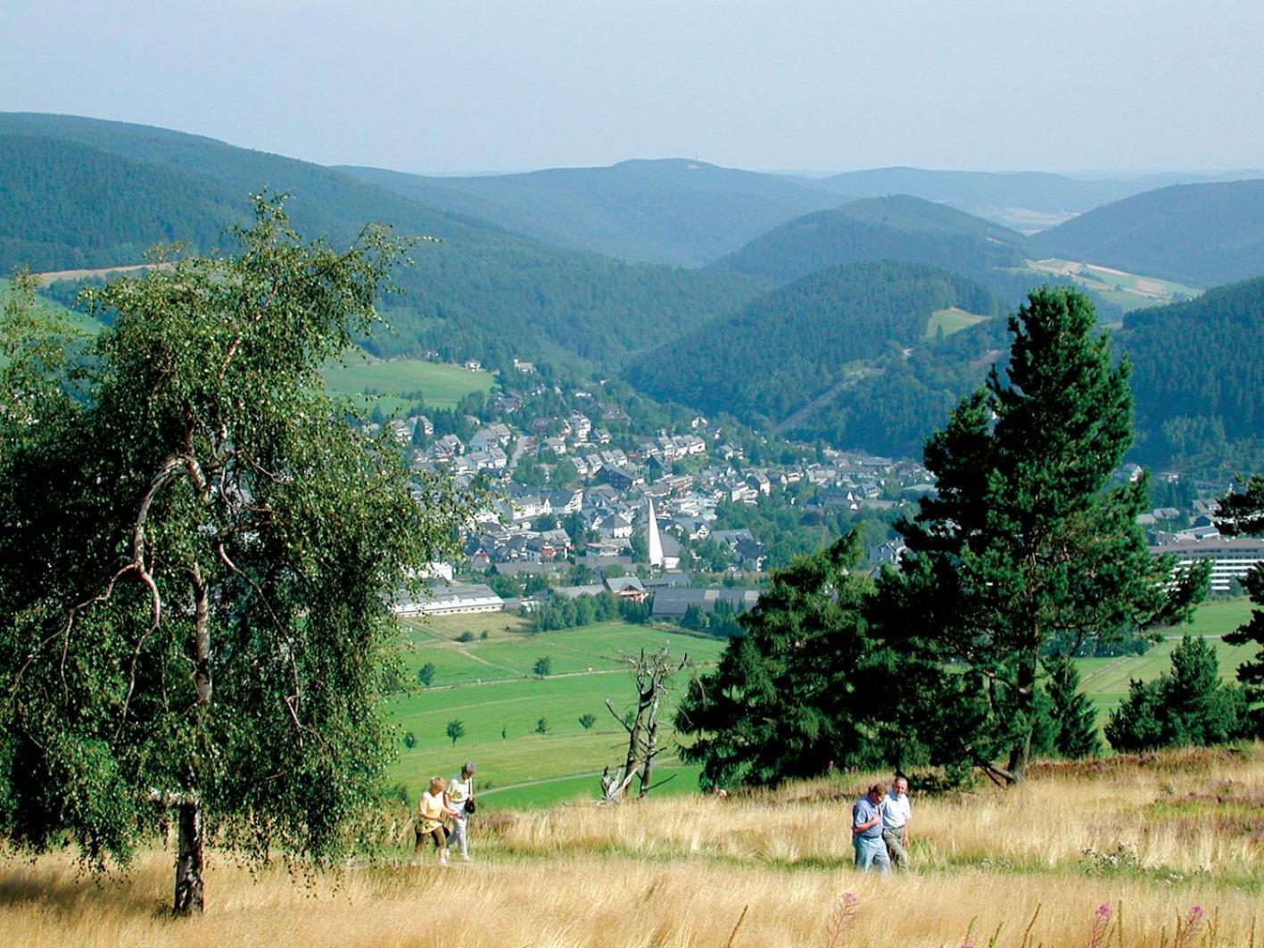 Ons Huisje 8 Willingen  Buitenkant foto